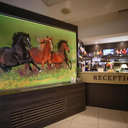 City Boutique Hotel-3